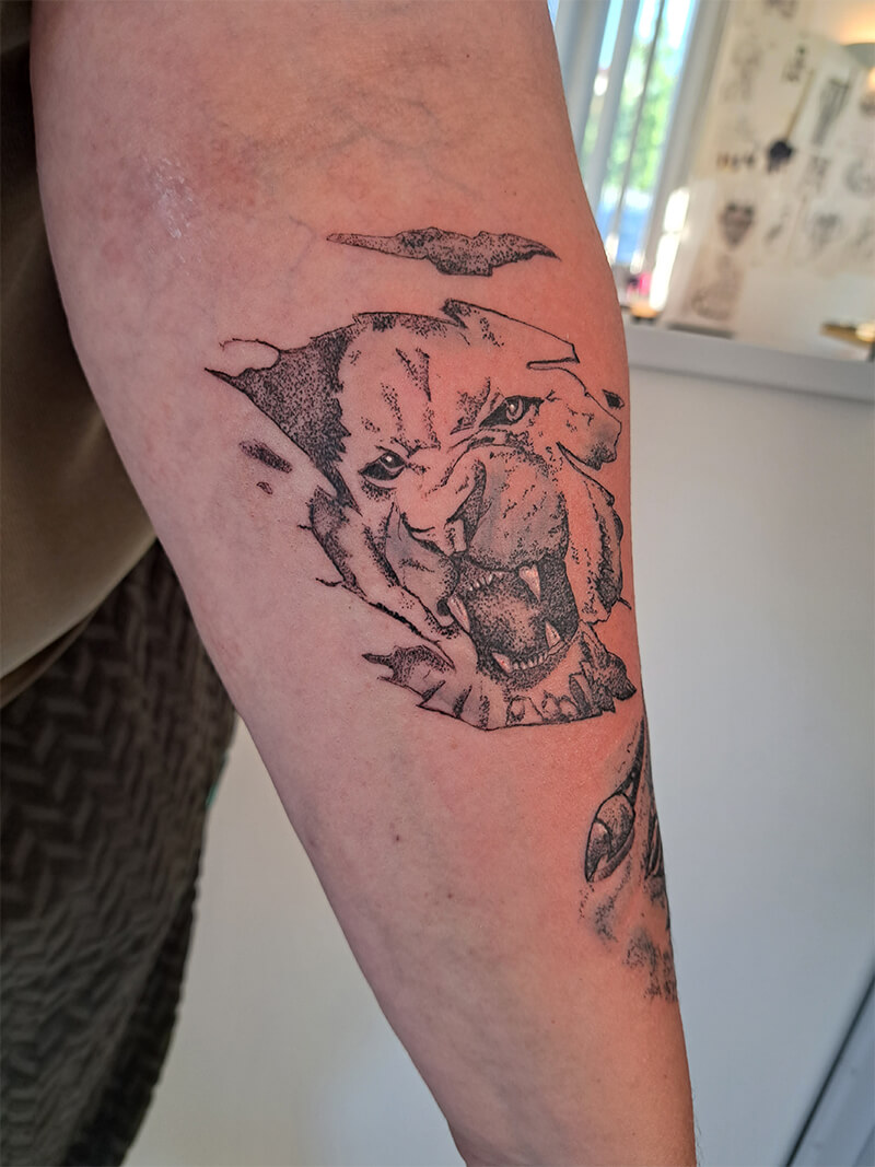 K'Tattoo Tika : tatouage animaux à Chartres, Dreux (28), Paris (75) & Le Mans (72)